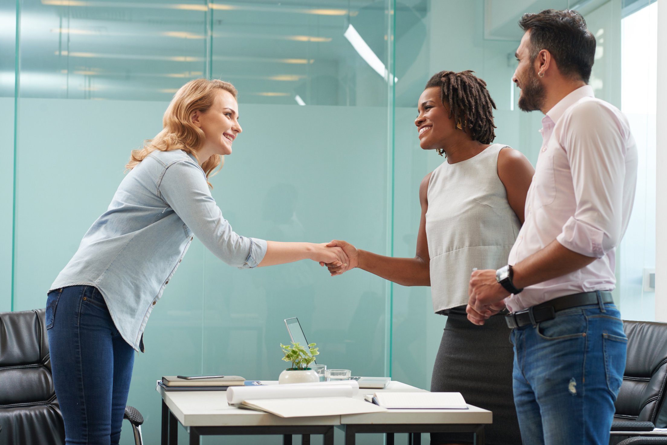 Woman Conducting Negotiations with Business Partner